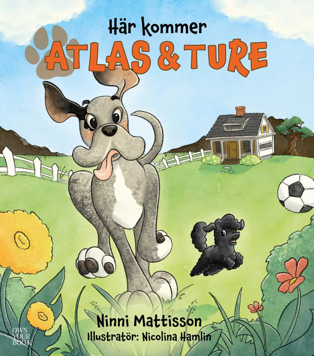 Mattisson, Ninni | Här kommer Atlas och Ture