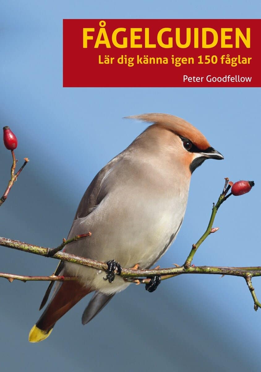 Goodfellow, Peter | Fågelguiden : Lär dig känna igen 150 fåglar