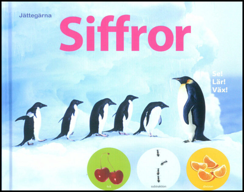 Jättegärna : Siffror