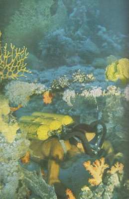 Cousteau, Jacques-Yves | Dumas, Frédéric | Den tysta världen : I samarbete med Frédéric Dumas