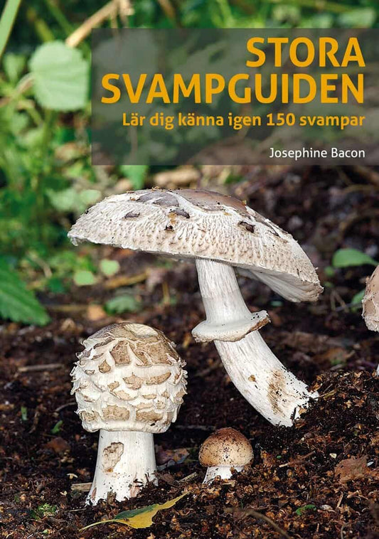 Bacon, Josephine | Stora svampguiden : Lär dig känna igen 150 svampar