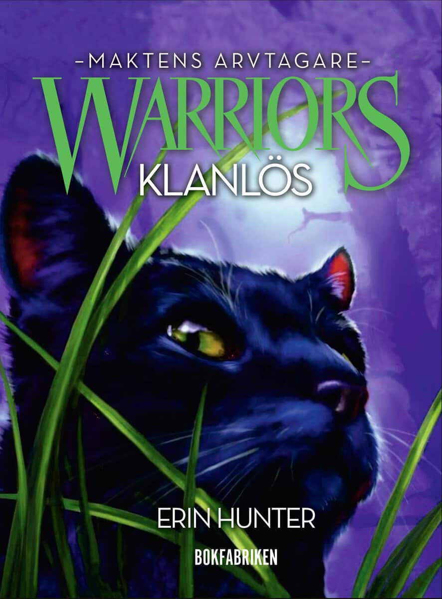 Hunter, Erin | Warriors 3. Klanlös