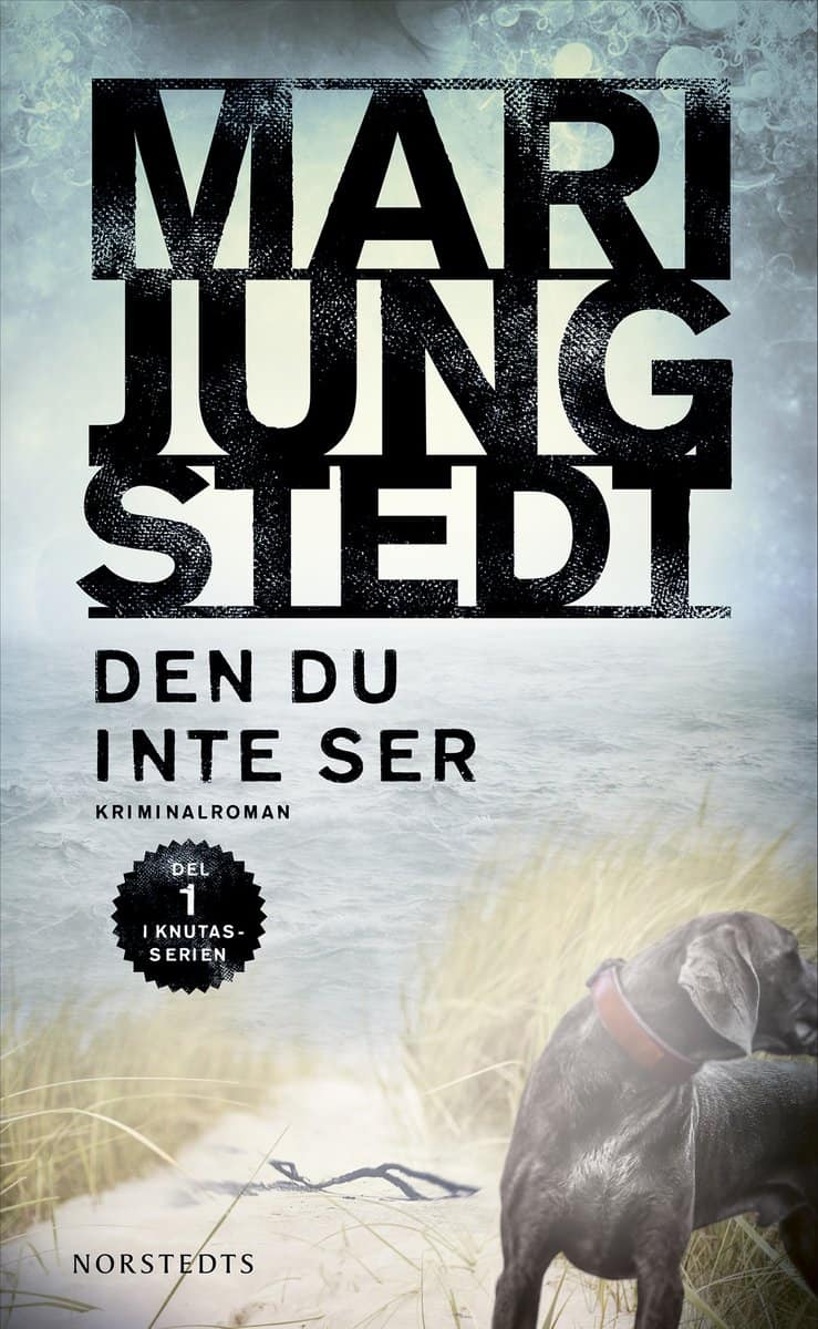 Jungstedt, Mari | Den du inte ser