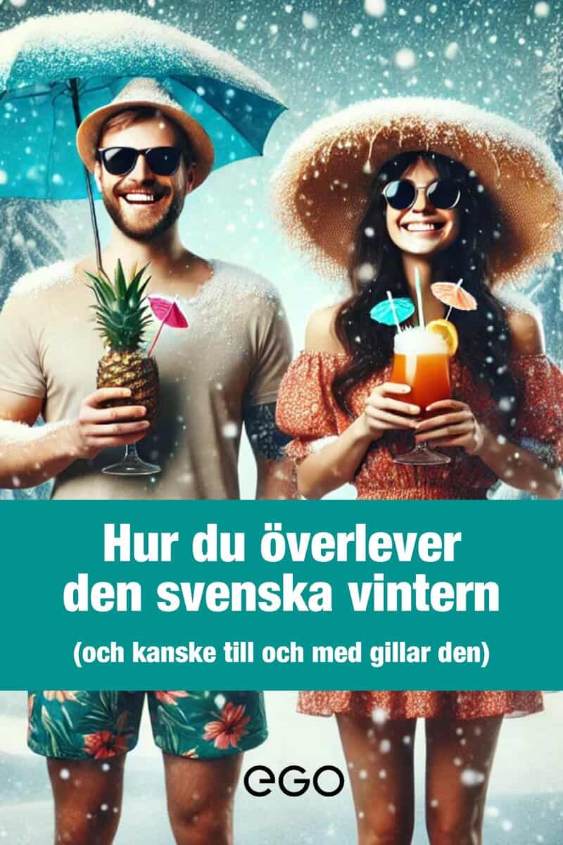 Ekberg, Stefan | Hur du överlever den svenska vintern