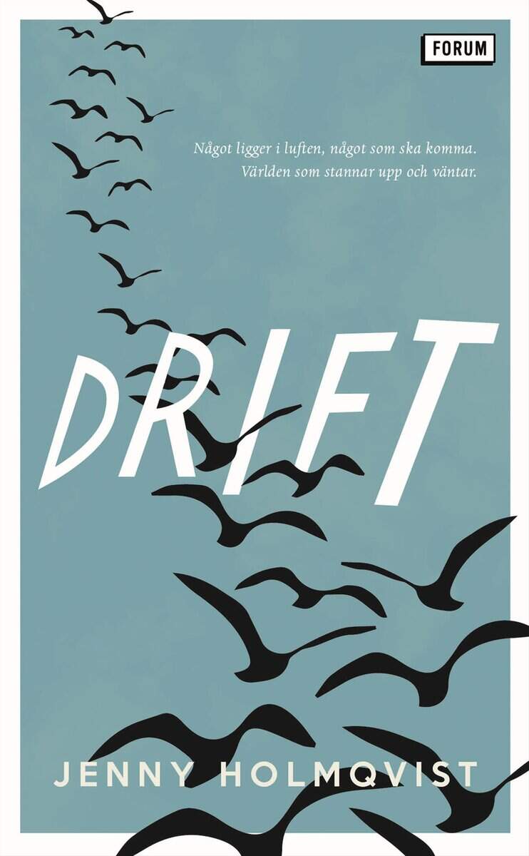 Holmqvist, Jenny | Drift