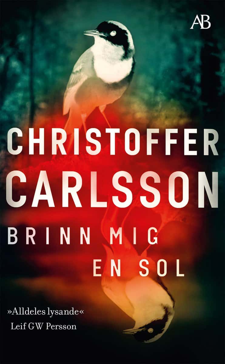 Carlsson, Christoffer | Brinn mig en sol