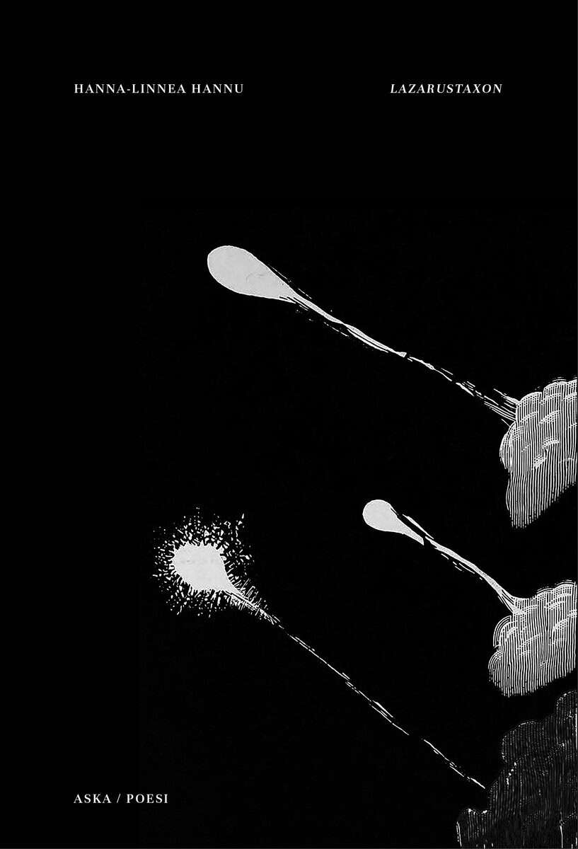 Hannu, Hanna-Linnea | Lazarustaxon