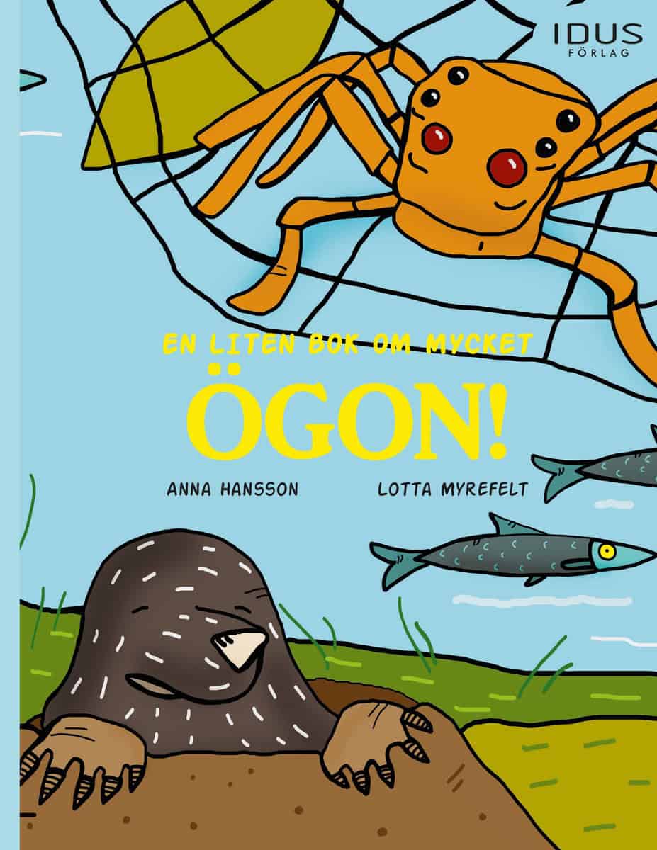 Hansson, Anna | En liten bok om mycket ögon!