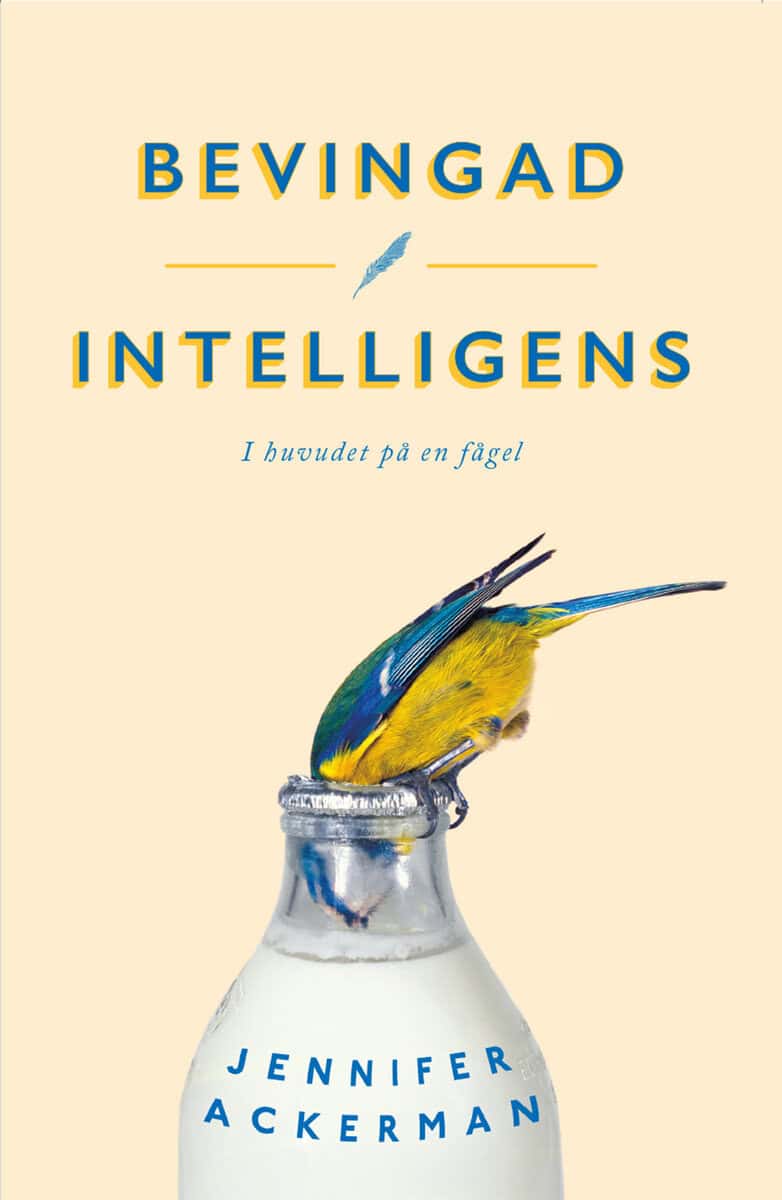 Ackerman, Jennifer | Bevingad intelligens : I huvudet på en fågel