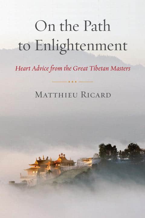 Ricard, Matthieu | On the path to enlightenment