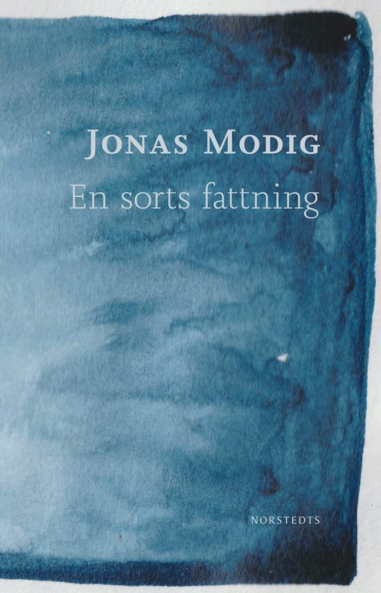 Modig, Jonas | En sorts fattning