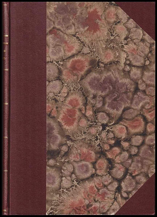 Mannerheim, Johan | Kramfors : Aktiebolag, utveckling och organisation