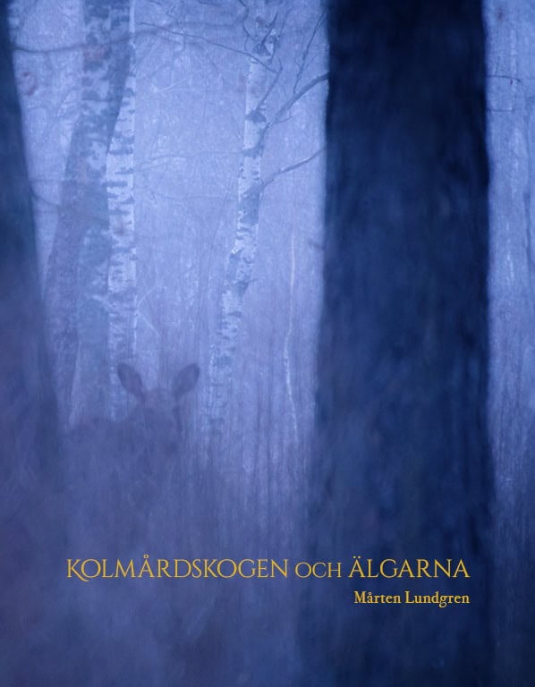 Lundgren, Mårten | Kolmårdsskogen och Älgarna