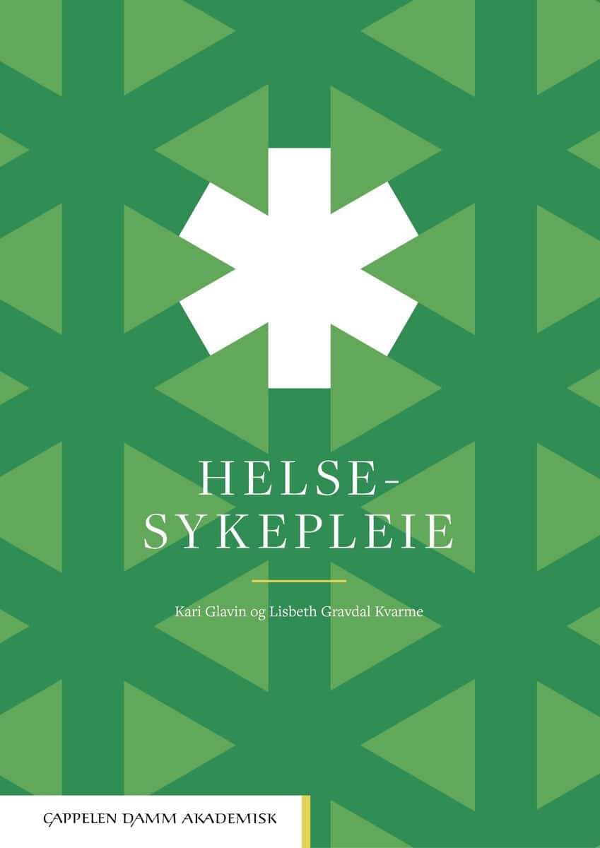 Glavin, Kari | Gravdal Kvarme, Lisbeth | Helsesykepleie
