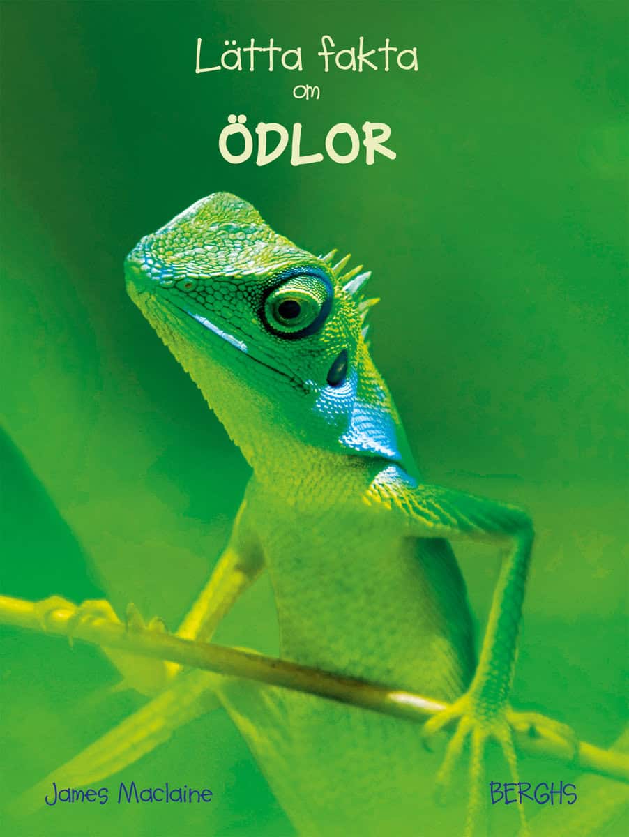 Maclaine, James | Lätta fakta om ödlor