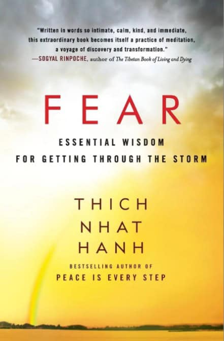 Hahn Thich Nhat | Fear : Essential Wisdom for Getting Through the Storm