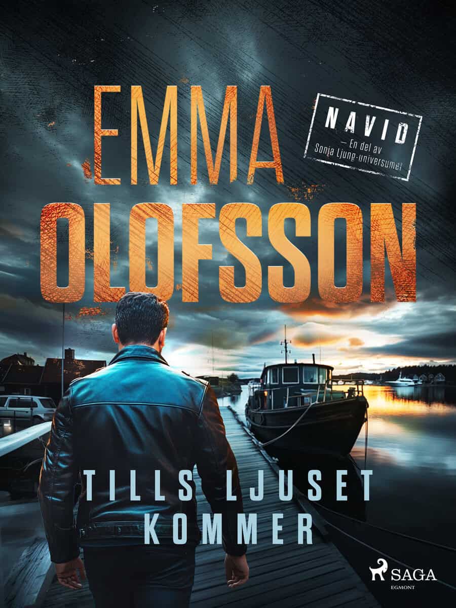 Olofsson, Emma | Tills ljuset kommer