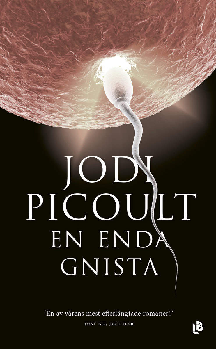 Picoult, Jodi | En enda gnista