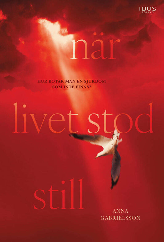 Gabrielsson, Anna | När livet stod still