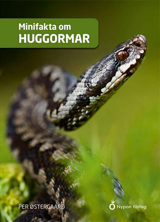 Østergaard, Per | Minifakta om huggormar
