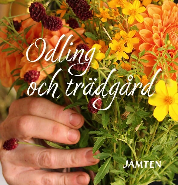 Wallgren Frånberg, Lowissa [red.] | Jämten 2025