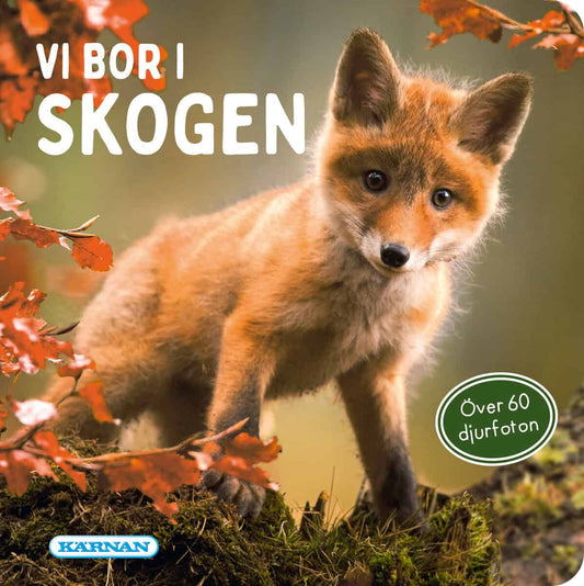 Vi bor i skogen