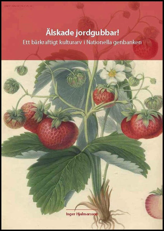 Hjalmarsson, Inger | Älskade jordgubbar! : Ett bärkraftigt kulturarv i Nationella genbanken