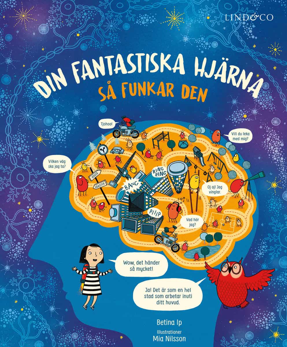 Ip, Betina | Din fantastiska hjärna : Så funkar den