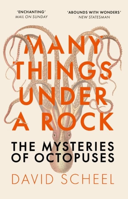 Scheel, David | Many Things Under a Rock