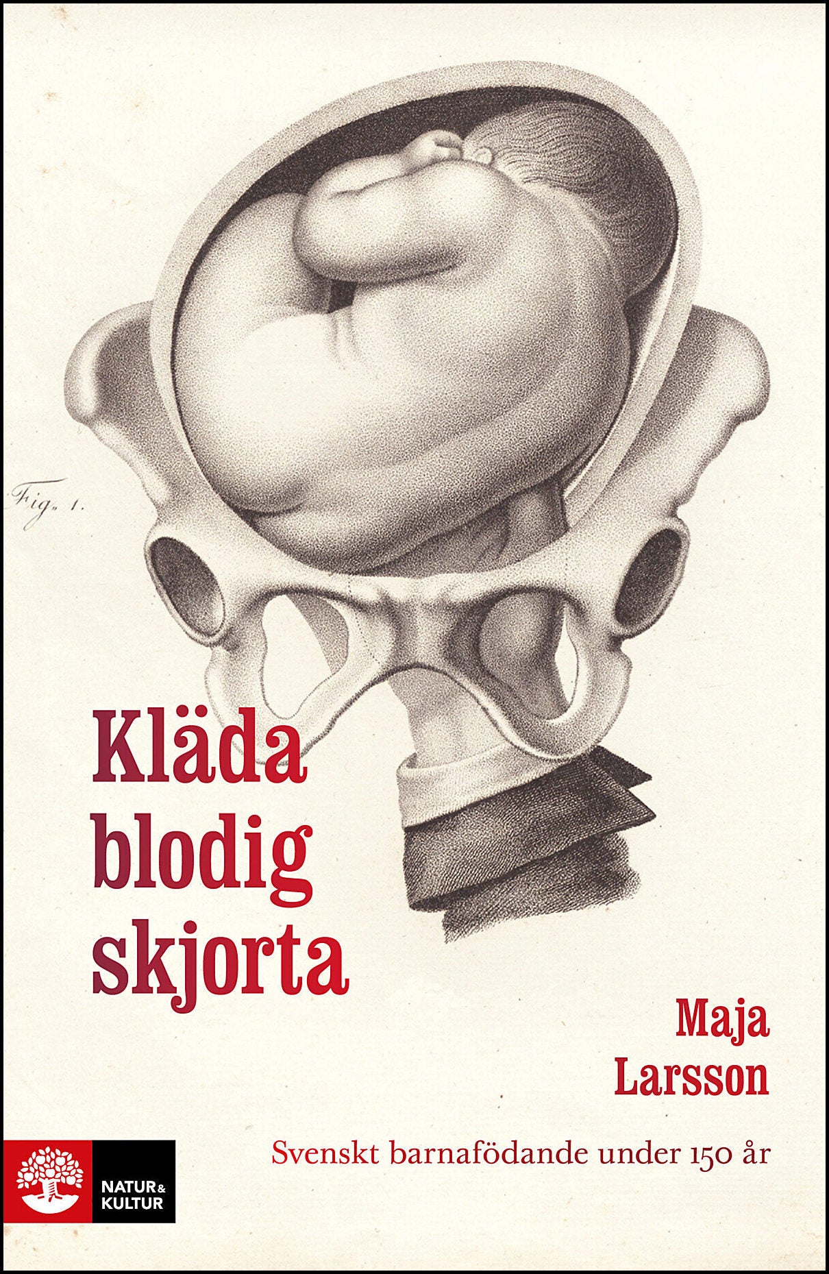 Larsson, Maja | Kläda blodig skjorta : Svenskt barnafödande under 150 år