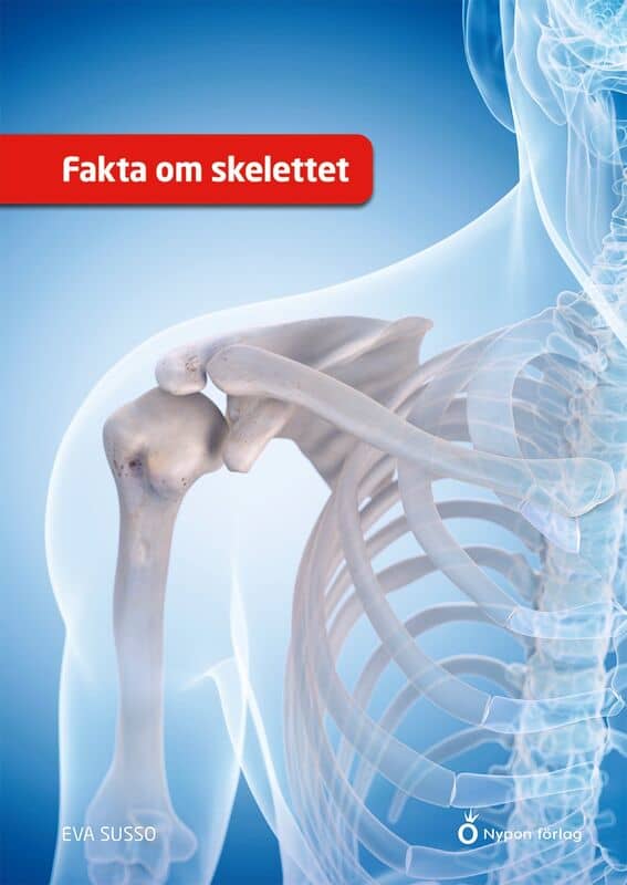 Susso, Eva | Fakta om skelettet
