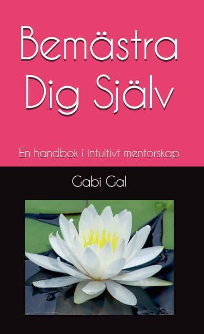 Gal, Gabi | Bemästra dig själv : En handbok i intuitivt mentorskap