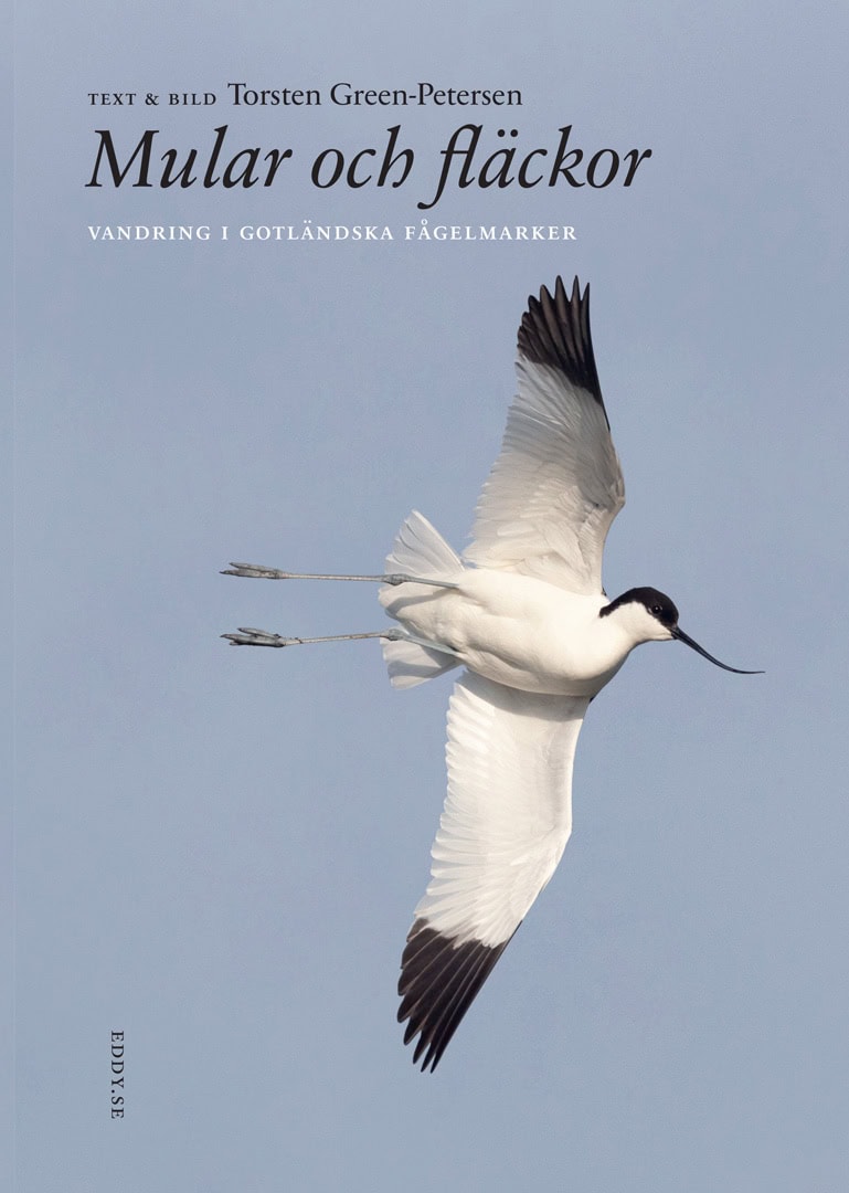 Green-Petersen, Torsten | Mular och fläckor