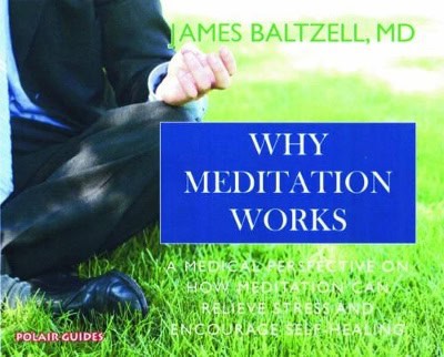 Baltzell, James | Why Meditation Works : Meditation From A Medical Perspective