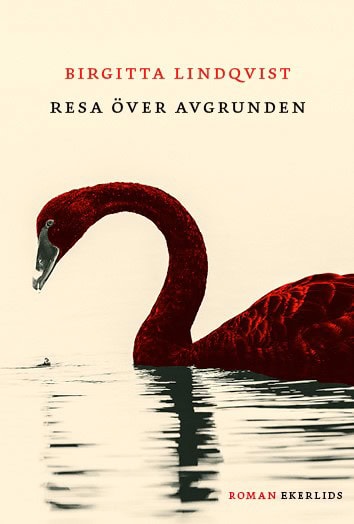 Lindqvist, Birgitta | Resa över avgrunden