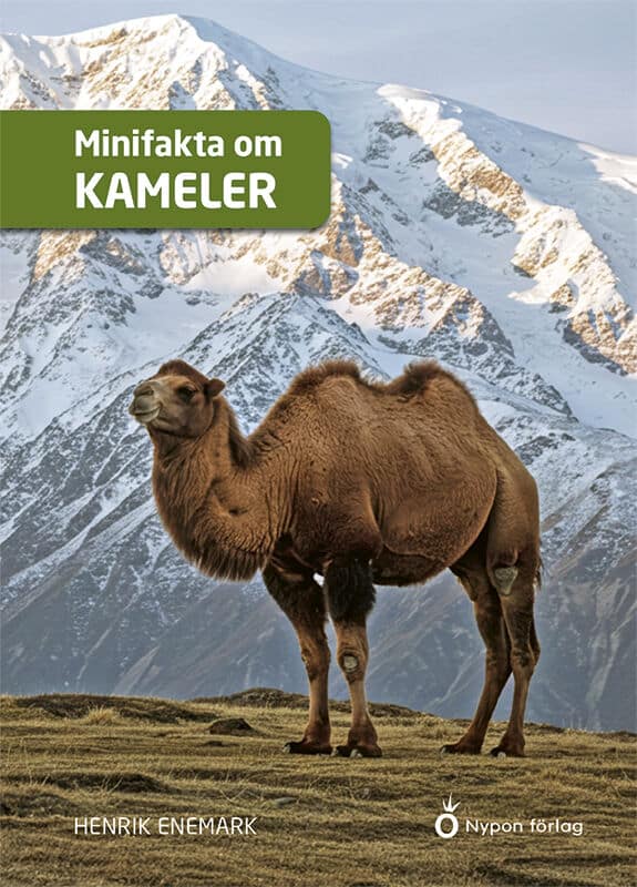 Enemark, Henrik | Minifakta om kameler