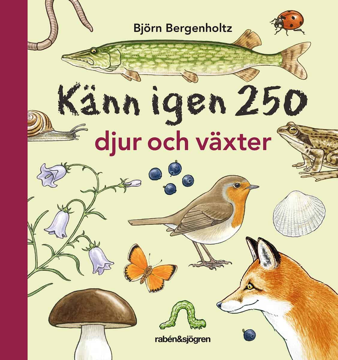 Bergenholtz, Björn | Känn igen 250 djur och växter