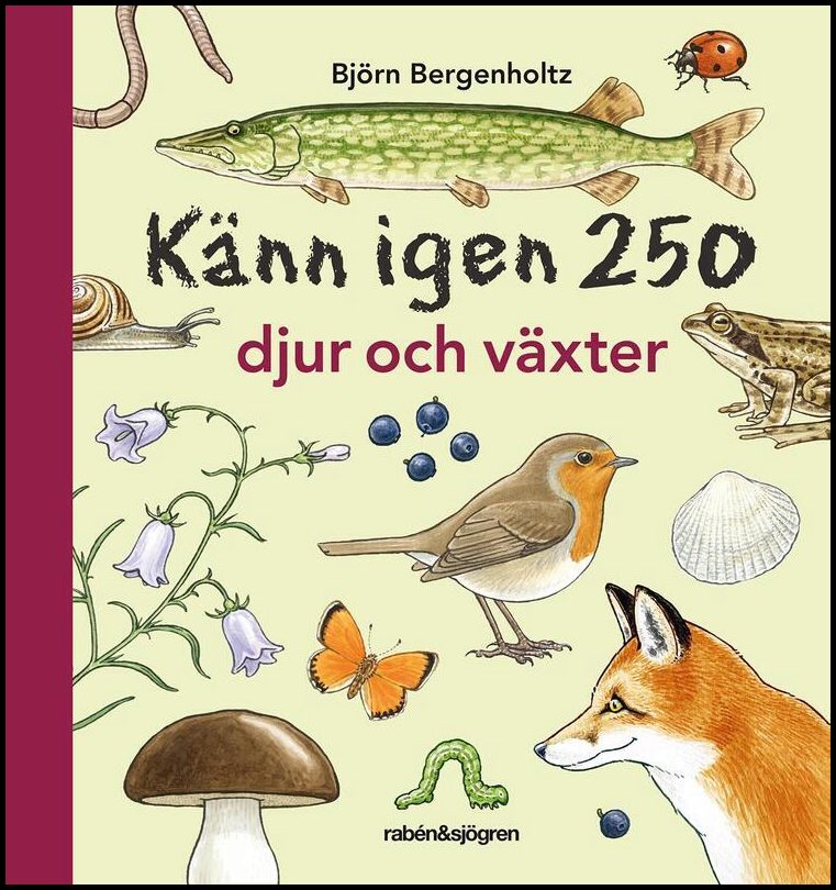 Bergenholtz, Björn | Känn igen 250 djur och växter