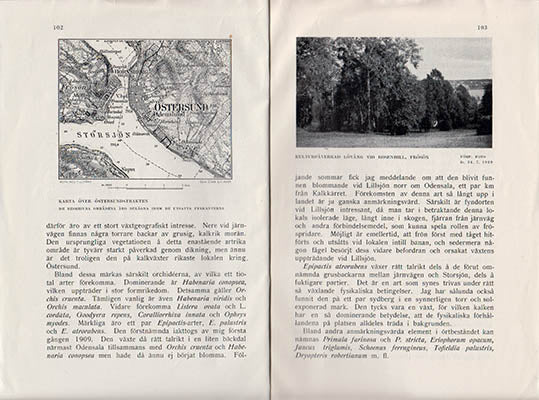 Sörlin, Anton | Några märkligare naturområden i Östersundstrakten