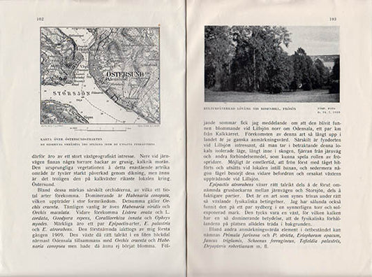 Sörlin, Anton | Några märkligare naturområden i Östersundstrakten