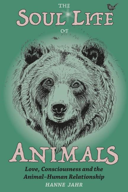 Hanne Jahr | Soul Life Of Animals