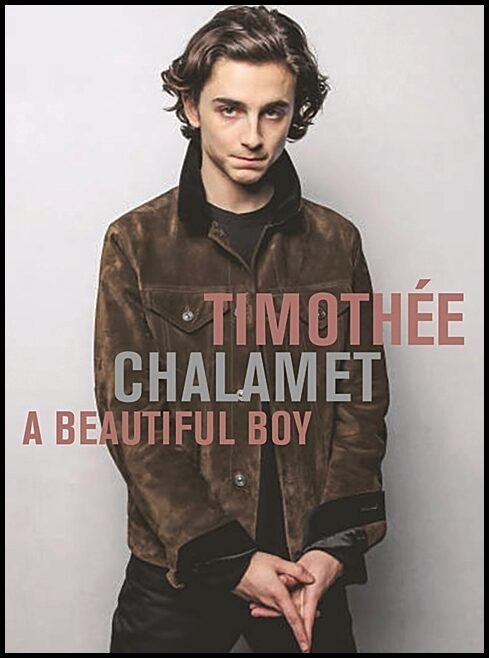 Plexus | Timothee Chalamet : A Beautiful Boy