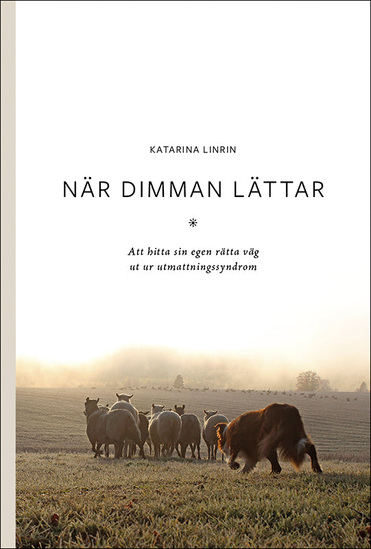 Katarina Linrin | När dimman lättar