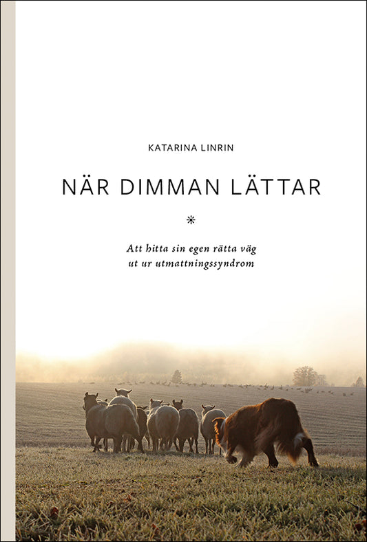 Katarina Linrin | När dimman lättar