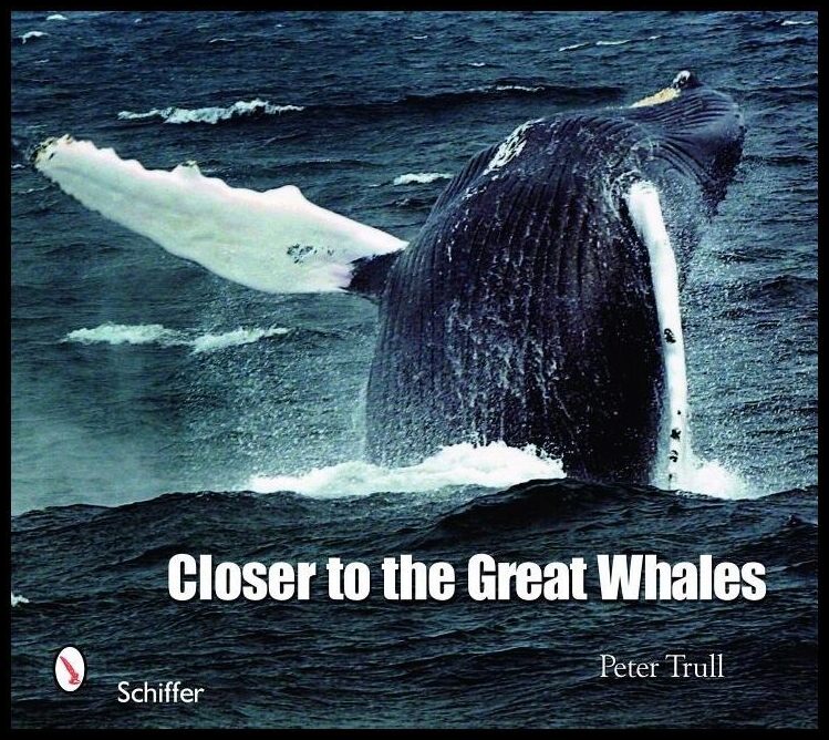 Trull, Peter | Closer to the great whales