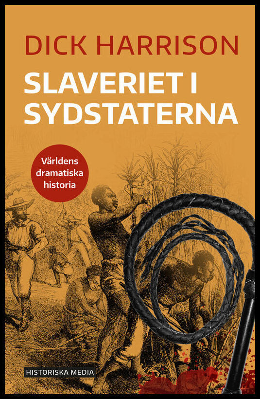 Harrison, Dick | Slaveriet i Sydstaterna