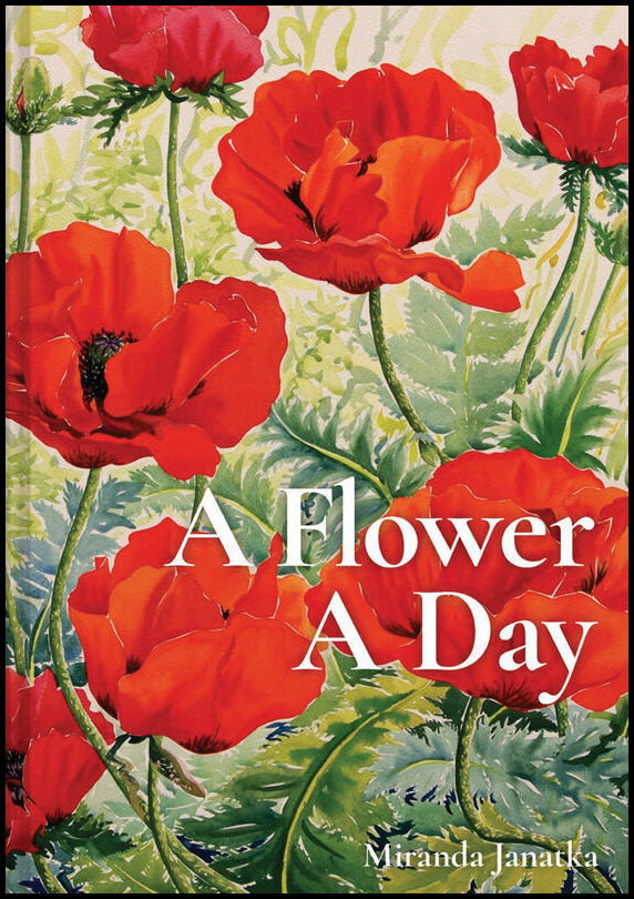 Miranda Janatka | A Flower A Day