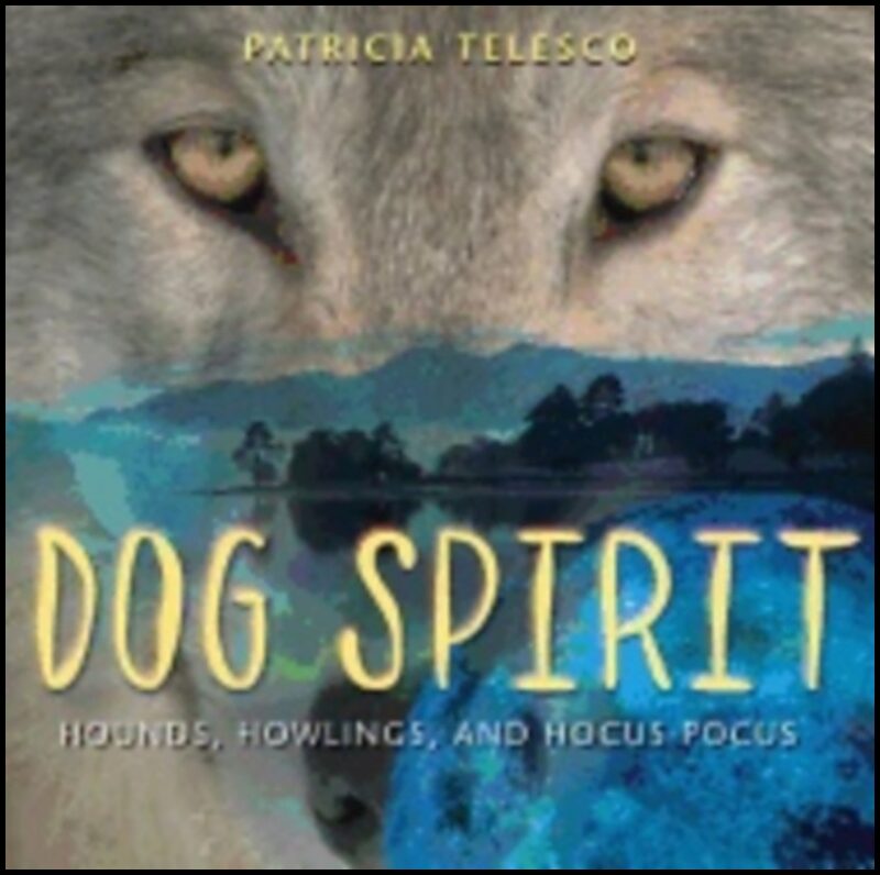 Patricia Telesco | Dog Spirit : Hounds, Howlings and Hocus Pocus