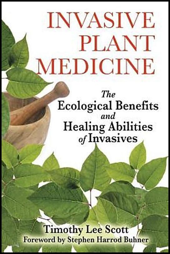 Scott Timothy Lee | Invasive Plant Medicine : The Ecological Benefits & Healing Abilities Of Invasives