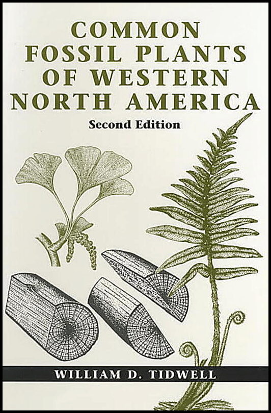 William D. Tidwell | Common Fossil Plants Of Western North America : 2nd Edition